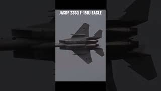 元アグレッサーのパイロットが操るキレッキレのF-15戦闘機 Former Aggressor Eagle Driver #shorts #Aggressor #F15 #fighterjet