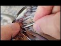 how to remove botfly from the birds