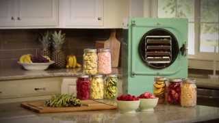 Freeze Drying vs. Canning \u0026 Dehydrating