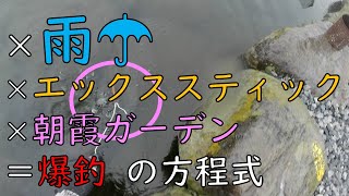 雨×エックススティック×朝霞ガーデン＝爆釣　の方程式