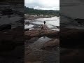 athirampilly river anchorage resort kerala forest water ytshorts travel