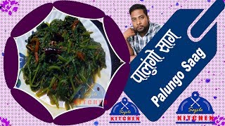 पालुंगो साग यसरी बनाउदा स्वाद कमाल बन्छ | palungo saag | paungo sag recipe | sajilo kitchen