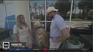 A front row seat for Brodie the Goldendoodle