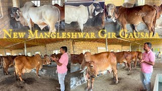 New🎉Mangleshwar Gir Gausala,Junagadh