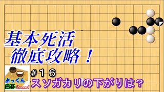 【囲碁】基本死活徹底攻略！#16【星・スソガカリ後の下がりは悪手なのか？】