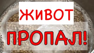 ЩИТОВИДНАЯ ЖЕЛЕЗА ПРИШЛА В НОРМУ! СКИНУЛА ВЕС ЖИВОТ ПРОПАЛ! ЛИЧНЫЙ ОПЫТ !РЕЦЕПТ