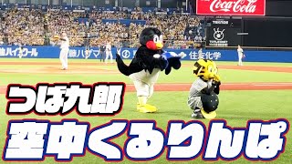 トラッキーと一緒に！つば九郎空中くるりんぱ｜2023年9月1日 阪神戦（神宮球場）