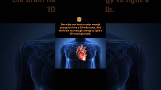 Heart creates enough energy | #facts #news #science #knowledge #heart #energy