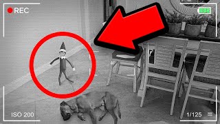 1 HOUR OF ELF ON A SHELF CAUGHT MOVING!