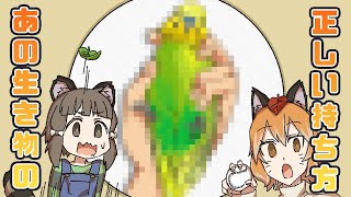 【漫画】あの生き物の正しい持ち方7選【マンガ動画／ゆっくり解説】