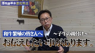 【和牛繁殖の皆さんへ】お伝えしたい事があります～子牛の親付け～【DNW274】