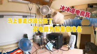 房车自驾沙漠公路，买电扇为解暑做准备，3个电扇能否解决问题【肉肉夫妻房车记】