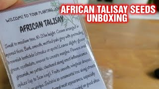 AFRICAN TALISAY SEEDS UNBOXING #unboxing #africantalisay #seeds