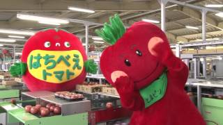 第４回やつしろＴＯＭＡＴＯフェスタwith合併２０周年ＪＡやつしろ感謝祭 15sec ＣＭ