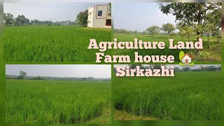 Agriculture Land for Sale in Sirkazhi, Tamilnadu 🆔941  #farming #farmhouse #farmland #விவசாயம் நிலம்