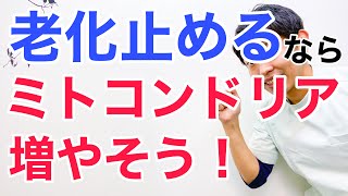 【老化停止】究極の若返り細胞ミトコンドリアをドンドン増やして老化を細胞レベルで止める方法