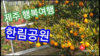 한림공원, 제주여행,  제주 한림공원, 제주도힐링여행, 제주여행 추천코스,  제주가볼만한곳, 제주가볼곳