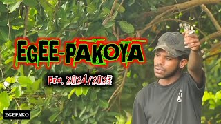 🌴🌴Aniki kayakai agiyo beuno || egee-pakoya song || dogiyai brother