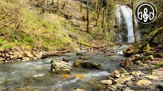 Relaxing sounds of nature. Beautiful waterfall with forest birds singing.