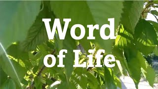 Word of Life February 2025 @FocoB