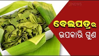 ଅତି ଉପକାରୀ ବେଲ ପତ୍ର , ନିୟମିତ ଖାଇଲେ ମିଳିବ ବିଭିନ୍ନ ରୋଗରୁ ମୁକ୍ତି || Knews Odisha