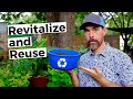 HOW TO REVITALIZE AND REUSE OLD POTTING SOIL