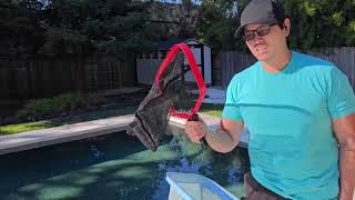 ProTuff Pool Leaf Net Review