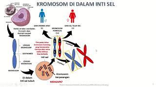 Iwan Ginanjar-Biologi kelas 12-SMAN 1 Sumedang-SUBSTANSI GENETIK   part 1-September2022#PKGTKJABAR