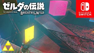 【ゼルダの伝説botw】シャダ・アダの祠攻略 #219