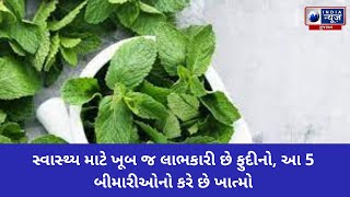 સ્વાસ્થ્ય માટે ખૂબ જ લાભકારી છે ફુદીનો, આ 5 બીમારીઓનો કરે છે ખાત્મો - India News Gujarat