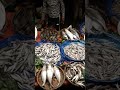 night fish market vuighor narayangonj . shorts