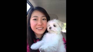 Playtube Pk Ultimate Video Sharing Website Playtube Pk Ultimate Video Sharing Website