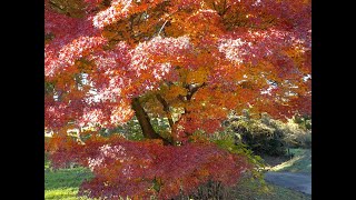 車窓もどき：清野町⇒天明寺⇒フレッセイ⇒箕輪城跡・・前橋/榛東村/高崎