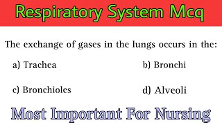 Respiratory System Mcq | respiratory system