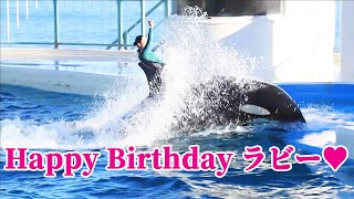 ラビー27歳お誕生日おめでとう!! 鴨川シーワールド シャチ kamogawaseaworld orca killerwhale