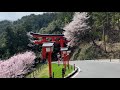 tsuwano cho 津和野散策【島根】