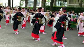 濱長　花神楽（2019スーパーよさこい・NHK前ストリート）