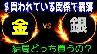 金VS銀【どっちを買えばいいの？】金利上昇で下落