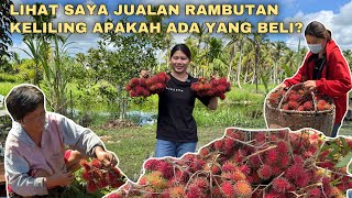 PANEN RAMBUTAN DI KEBUN UNTUK DI JUAL KIRA-KIRA BERAPA HASIL YANG KAMI DAPAT ?...