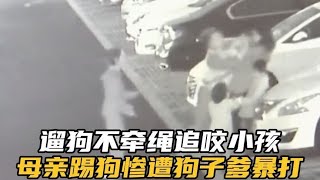 遛狗不牵绳狗追咬孩童，母亲踢狗惨遭暴打，狗子爹：喜提3年牢饭