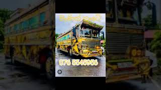 🤟❣️❣️💯🇱🇰ලංකාවේ බස් වල phone numbers 🇱🇰🇱🇰💯❣️🤟🤟💕 #1millon #bus #trending #viralvideo