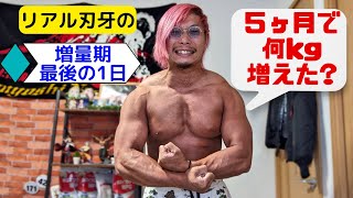 The last day of the weight increase period! + 〇〇kg in 5 months of impact [VLOG]