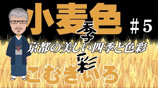 京都の美しい四季と色彩　#5「小麦色」