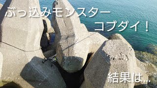 ８月中旬  ぶっ込みモンスター『コブダイ』 淡路島(船瀬漁港)リベンジ！