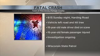One teenager dead, another injured in Portage County crash