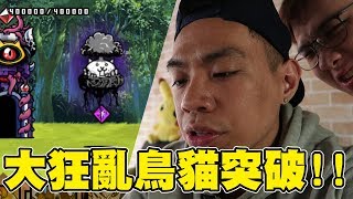 漂浮的我就不怕啦!!!! | 大狂亂鳥貓 - 蝶!豬鹿鳥 | 貓咪大戰爭