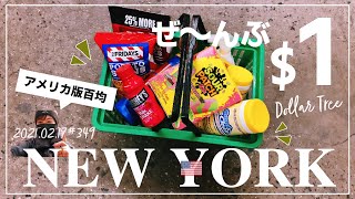 これがアメリカ版百均💰 $1ショップだよ🛒!! 掃除用品だけを買いに来た予定が・・・。【Dollar Tree】