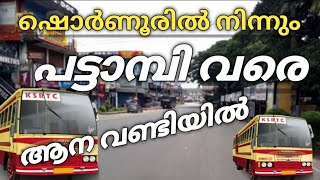 ഷൊർണൂരിൽ നിന്നും പട്ടാമ്പിയിലേക്കൊരു Ksrtc ബസ് യാത്ര | ksrtc bus yathra vlog malayalam | Ksrtc trip|