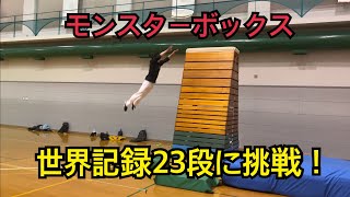 【モンスターボックス】世界記録23段(3m06cm)に挑戦！