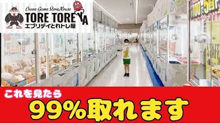 【クレーンゲーム】エブリデイとれトレ屋　★これを見たら99%取れます！★ #クレーンゲーム　#ufoキャッチャー